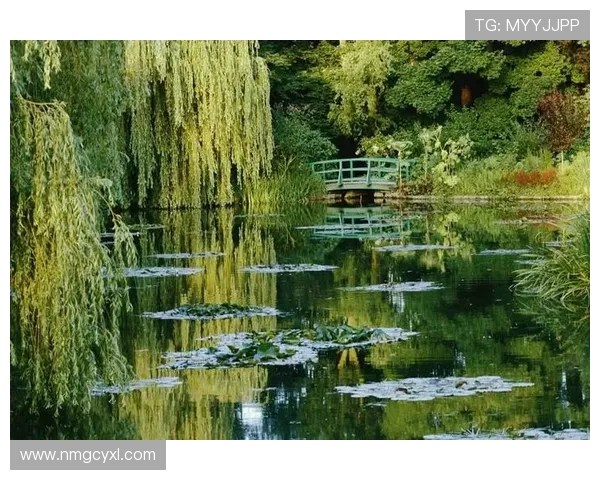 布莱克尼的秘密花园探险之旅与自然和谐共生的奇妙体验